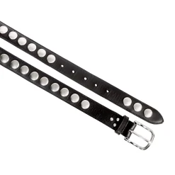 Ceinture Festival